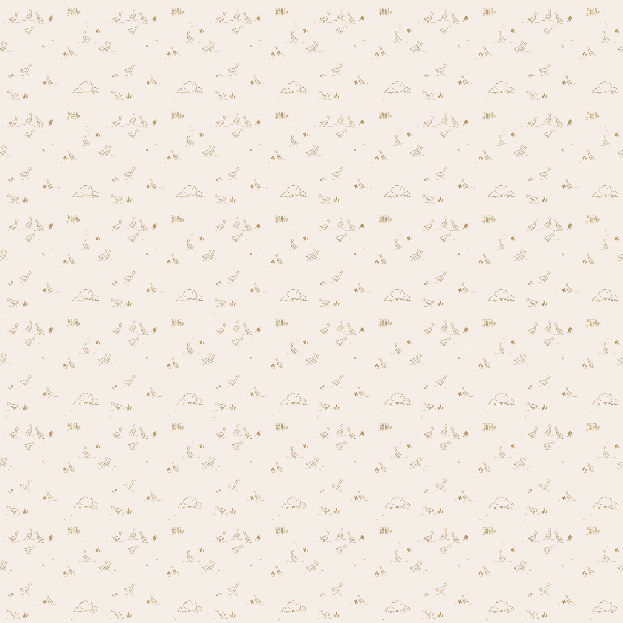 Ollie Wallpaper